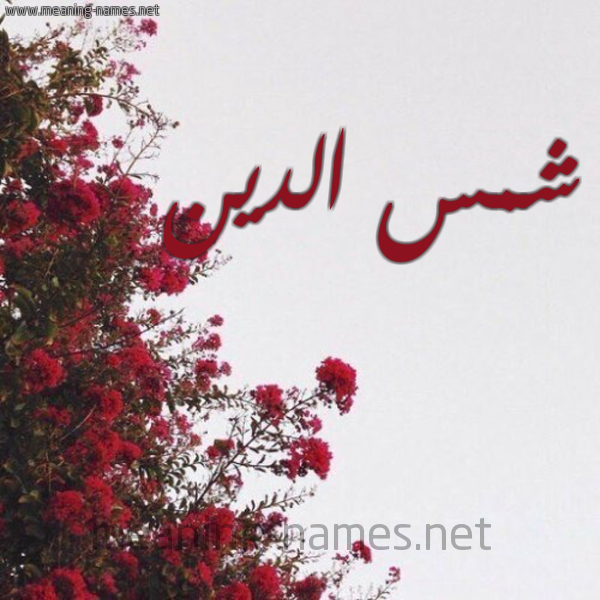 شكل 18 صوره الورد الأحمر للإسم بخط رقعة صورة اسم شمس الدين Shams-aldeen